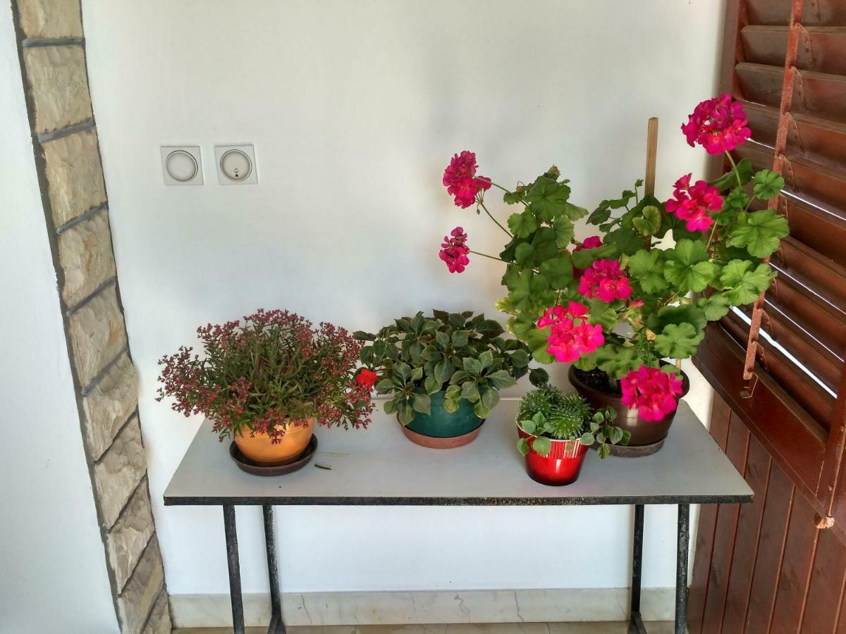 Apartmani Tonica Sukosan Bagian luar foto